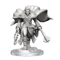 D&D Nolzur's Marvelous Miniatures: Aasimar Cleric Male