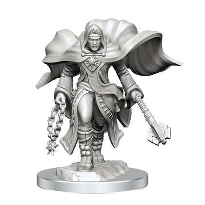 D&D Nolzur's Marvelous Miniatures: Aasimar Cleric Male - 1