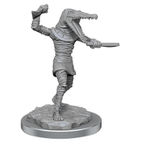 D&D Nolzur's Marvelous Miniatures: Mummies