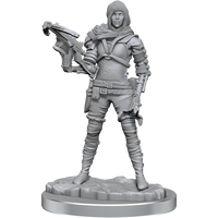 WizKids Deep Cuts: Human Rogue