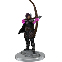 WizKids Deep Cuts: Human Rogue
