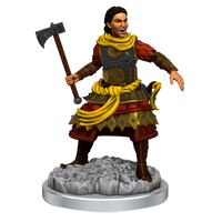 D&D Nolzur's Marvelous Miniatures: Human Fighters