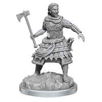D&D Nolzur's Marvelous Miniatures: Human Fighters