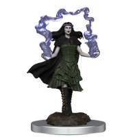 D&D Nolzur's Marvelous Miniatures: Dark Spellcaster & Flameskull