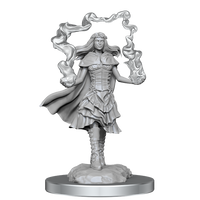 D&D Nolzur's Marvelous Miniatures: Dark Spellcaster & Flameskull