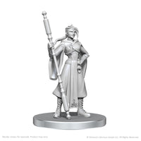 PRE-ORDER - Critical Role Unpainted Miniatures: Beauregard Lionett & Caleb Widogast