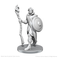 PRE-ORDER - Critical Role Unpainted Miniatures: Mollymauk Tealeaf & Caduceus Clay