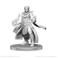 PRE-ORDER - Critical Role Unpainted Miniatures: Beauregard Lionett & Caleb Widogast