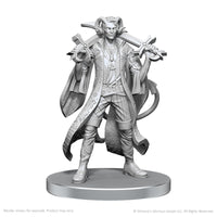 PRE-ORDER - Critical Role Unpainted Miniatures: Mollymauk Tealeaf & Caduceus Clay