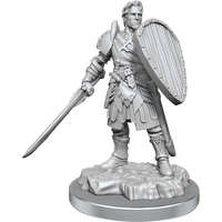 D&D Nolzur's Marvelous Miniatures: Human Fighters