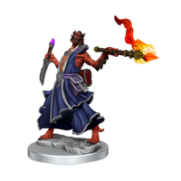D&D Frameworks: Dragonborn Sorcerer Female - Unpainted and Unassembled