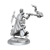 D&D Frameworks: Dragonborn Sorcerer Female - Unpainted and Unassembled
