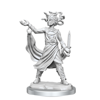 D&D Frameworks: Medusa - Unpainted and Unassembled
