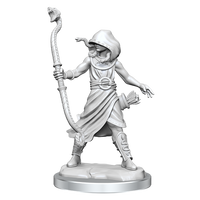 D&D Frameworks: Medusa - Unpainted and Unassembled