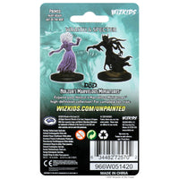 D&D Nolzur’s Marvelous Miniatures: Wraith & Specter