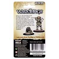 Wizkids Wardlings Painted Miniatures: Girl Druid & Stone Creature