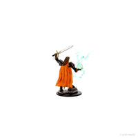 Pathfinder Battles: Premium Painted Figure - Human Cleric Male