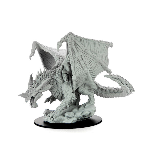 WizKids D&D Icônes des royaumes : bande de guerre draconienne WizKids D&D Icônes des royaumes : bande de guerre draconienne