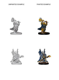 BACK-ORDER - D&D Nolzur's Marvelous Miniatures: Dwarf Male Paladin