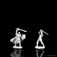 D&D Nolzur's Marvelous Miniatures - Male Human Paladin
