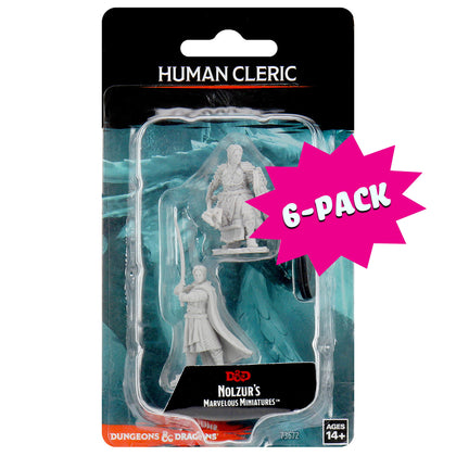 D&D Nolzur's Marvelous Miniatures - Male Human Cleric (Bundle of 6)
