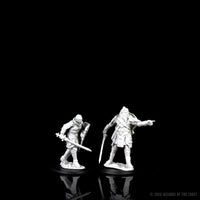 D&D Nolzur's Marvelous Miniatures - Male Human Fighter