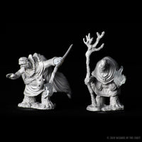 D&D Nolzur's Marvelous Miniatures - Tortle Adventurers