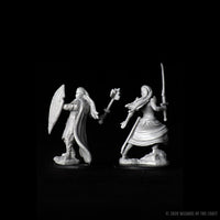 D&D Nolzur's Marvelous Miniatures - Female Elf Paladin