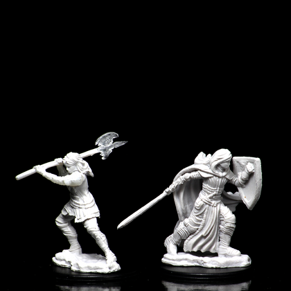 D&D Nolzur's Marvelous Miniatures - Female Human Paladin - 3