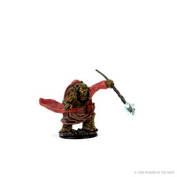 D&D Icons of the Realms Premium Figures: Male Tortle Monk