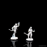 D&D Nolzur's Marvelous Miniatures - Male Tiefling Sorcerer