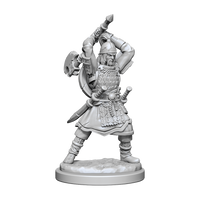 D&D Figurines peintes haut de gamme Demi-elfe Barde mâle D&D Figurines peintes haut de gamme Demi-elfe Barde mâle