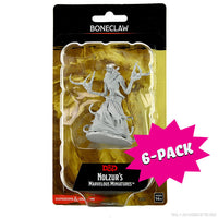 D&D Nolzur's Marvelous Miniatures: Boneclaw (Bundle of 6)