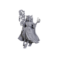 PRE-ORDER - Critical Role Unpainted Miniatures: Fearne Calloway & Mister