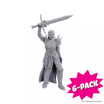 D&D Nolzur’s Marvelous Miniatures:  Female Human Fighter (Bundle of 6)