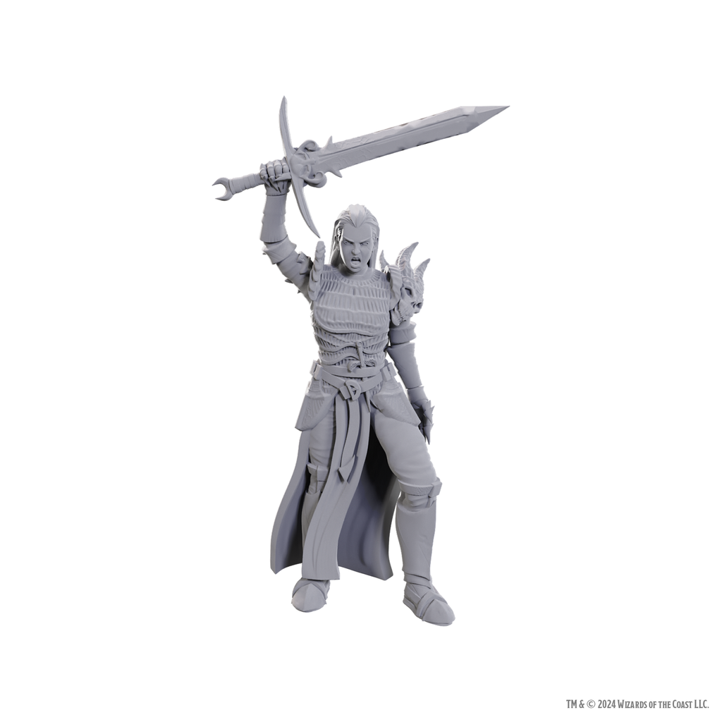 PRE-ORDER - D&D Nolzur's Marvelous Miniatures: Blackguard