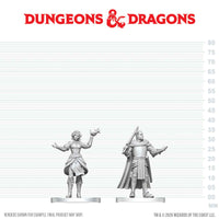 D&D Nolzur's Marvelous Miniatures: Knight & Mage Apprentice