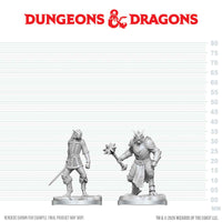 D&D Nolzur's Marvelous Miniatures: Dragonborn Paladin & Dragonborn Squire