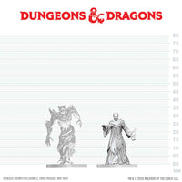 PRE-ORDER - D&D Nolzur's Marvelous Miniatures: Ghast Gravecaller & Wraith