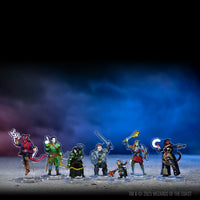 D&D Idols of the Realms: Wizards & Warriors – 2D Set