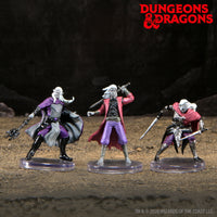 D&D Icons of the Realms: Drow Warband