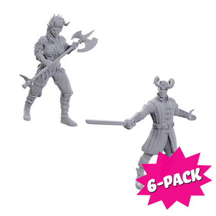 D&D Nolzur's Marvelous Miniatures: Special Edition Baldur's Gate 3 — Wyll & Karlach (Bundle of 6)