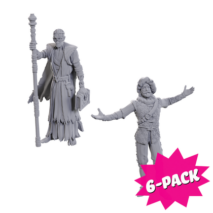D&D Nolzur's Marvelous Miniatures: Special Edition Baldur's Gate 3 — Volo & Withers (Bundle of 6)