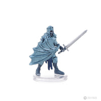 Pathfinder Battles: Frozen Skeletal Champion Promo Miniature