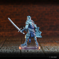 Pathfinder Battles: Frozen Skeletal Champion Promo Miniature