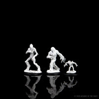 D&D Nolzur's Marvelous Miniatures - Blights