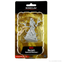 D&D Nolzur's Marvelous Miniatures: Boneclaw
