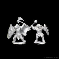 D&D Nolzur's Marvelous Miniatures: Dragonborn Male Paladin