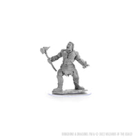 D&D Nolzur's Marvelous Miniatures: Cyclops