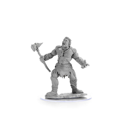 D&D Nolzur's Marvelous Miniatures: Cyclops - 3